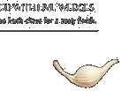 Fresh Garlic